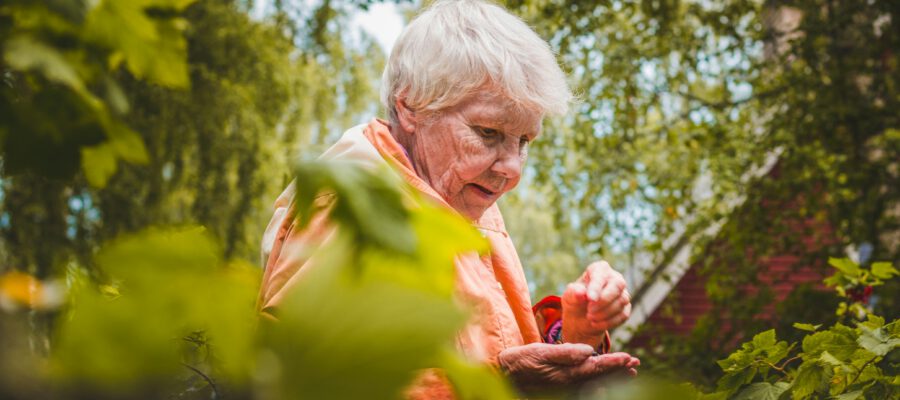 Alte Frau sitzt im Grünen und liest